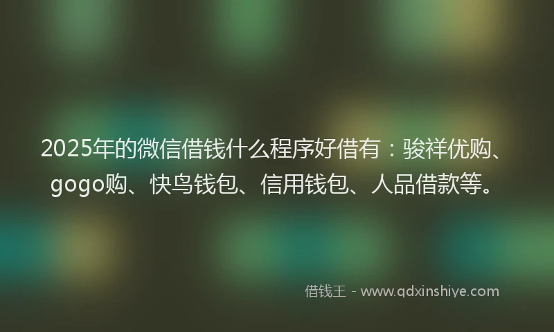2025年的微信借钱什么程序好借有：骏祥优购、gogo购、快鸟钱包、信用钱包、人品借款等。