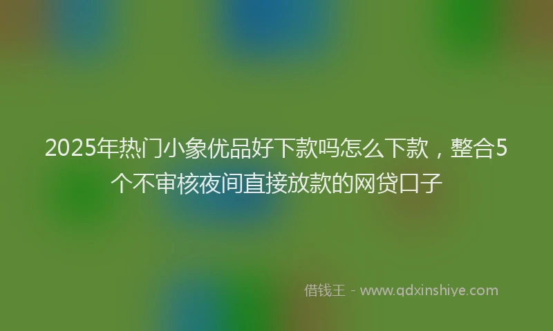 2025年热门小象优品好下款吗怎么下款，整合5个不审核夜间直接放款的网贷口子