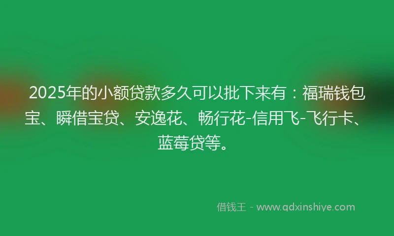 2025年的小额贷款多久可以批下来有：福瑞钱包宝、瞬借宝贷、安逸花、畅行花-信用飞-飞行卡、蓝莓贷等。