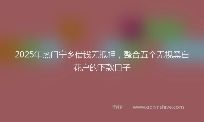 2025年热门宁乡借钱无抵押，整合五个无视黑白花户的下款口子