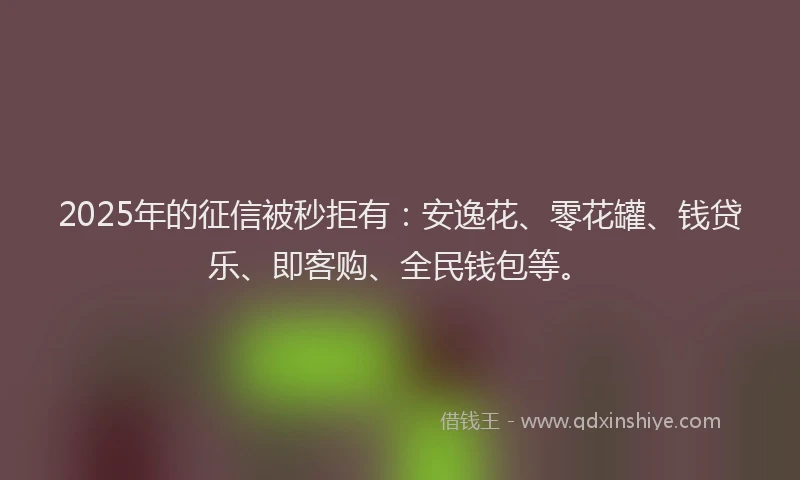 2025年的征信被秒拒有：安逸花、零花罐、钱贷乐、即客购、全民钱包等。