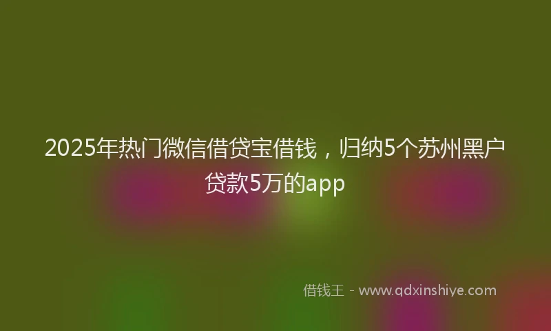 2025年热门微信借贷宝借钱，归纳5个苏州黑户贷款5万的app