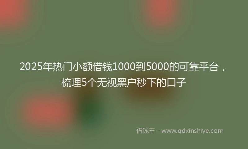 2025年热门小额借钱1000到5000的可靠平台，梳理5个无视黑户秒下的口子