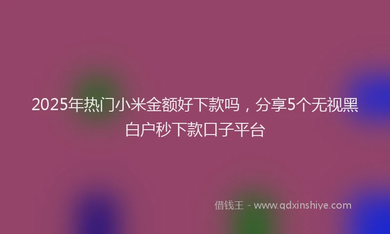 2025年热门小米金额好下款吗，分享5个无视黑白户秒下款口子平台
