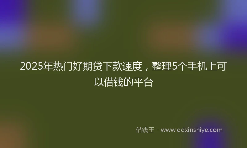 2025年热门好期贷下款速度，整理5个手机上可以借钱的平台