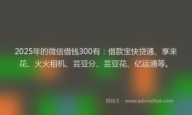 2025年的微信借钱300有：借款宝快贷通、享来花、火火租机、芸豆分、芸豆花、亿运通等。
