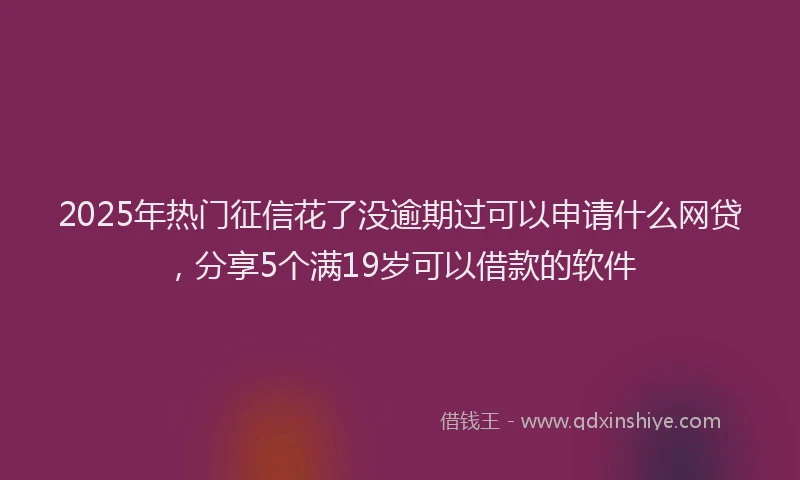 2025年热门征信花了没逾期过可以申请什么网贷，分享5个满19岁可以借款的软件