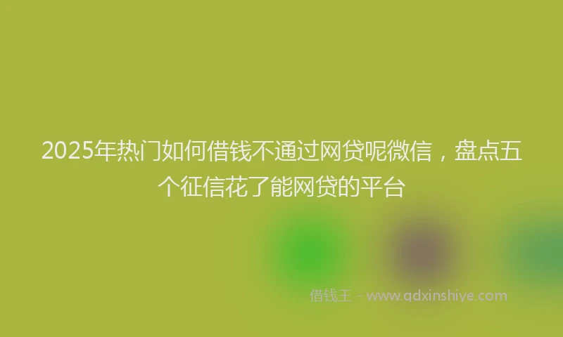 2025年热门如何借钱不通过网贷呢微信，盘点五个征信花了能网贷的平台