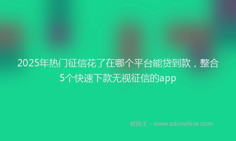 2025年热门征信花了在哪个平台能贷到款，整合5个快速下款无视征信的app
