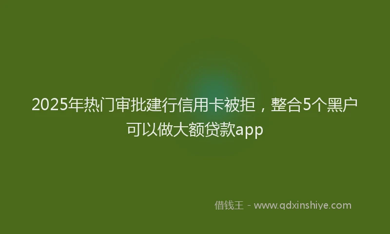 2025年热门审批建行信用卡被拒，整合5个黑户可以做大额贷款app