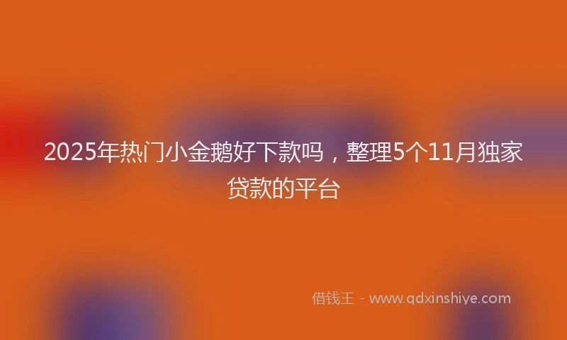 2025年热门小金鹅好下款吗，整理5个11月独家贷款的平台