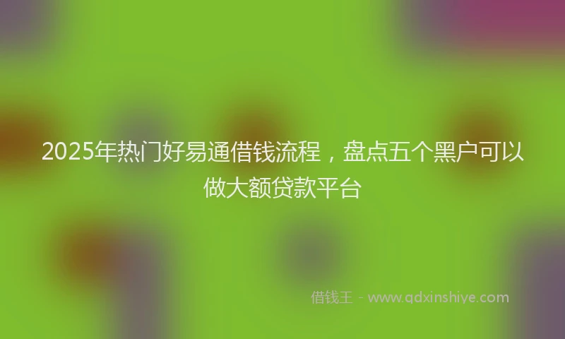2025年热门好易通借钱流程，盘点五个黑户可以做大额贷款平台