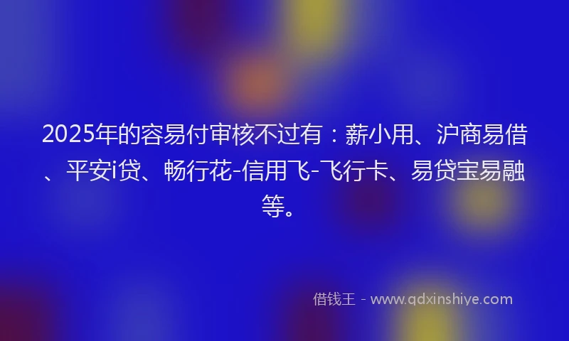 2025年的容易付审核不过有：薪小用、沪商易借、平安i贷、畅行花-信用飞-飞行卡、易贷宝易融等。