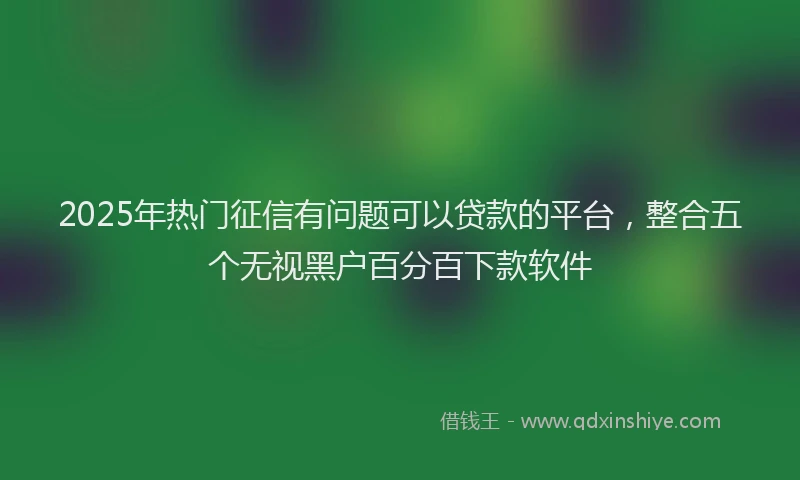 2025年热门征信有问题可以贷款的平台，整合五个无视黑户百分百下款软件