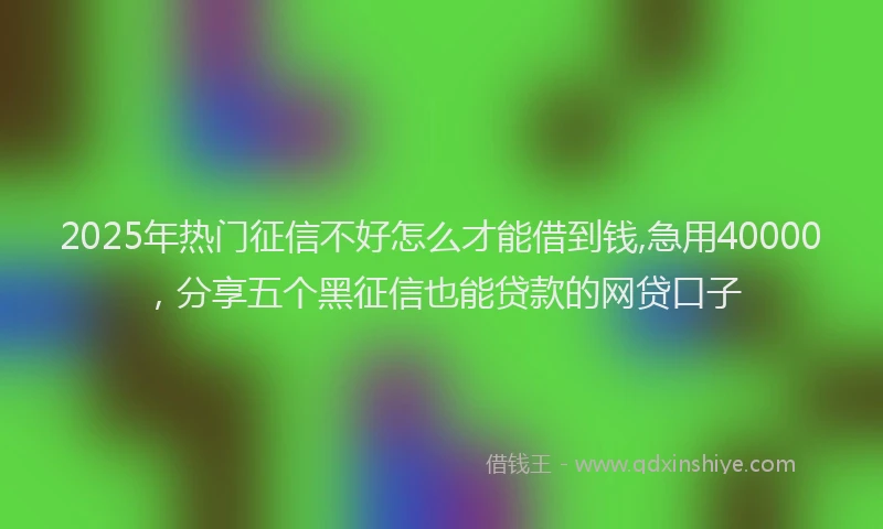 2025年热门征信不好怎么才能借到钱,急用40000，分享五个黑征信也能贷款的网贷口子