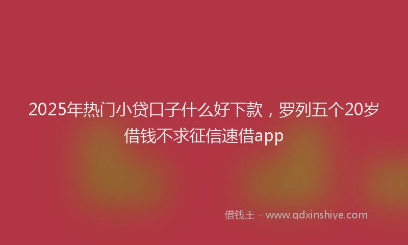 2025年热门小贷口子什么好下款，罗列五个20岁借钱不求征信速借app