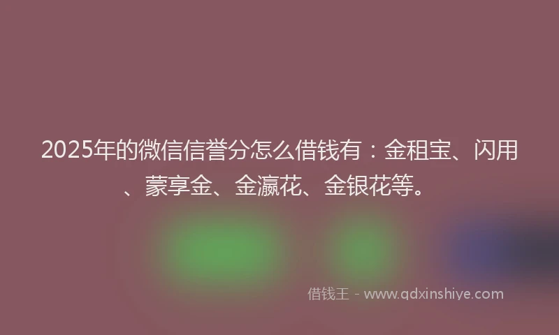 2025年的微信信誉分怎么借钱有：金租宝、闪用、蒙享金、金瀛花、金银花等。