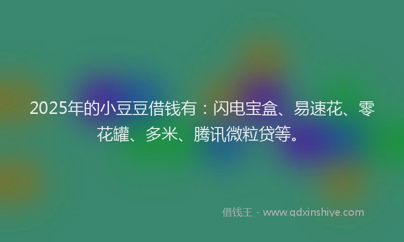 2025年的小豆豆借钱有：闪电宝盒、易速花、零花罐、多米、腾讯微粒贷等。