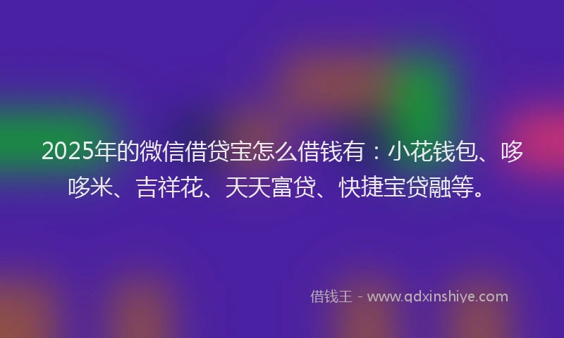 2025年的微信借贷宝怎么借钱有：小花钱包、哆哆米、吉祥花、天天富贷、快捷宝贷融等。