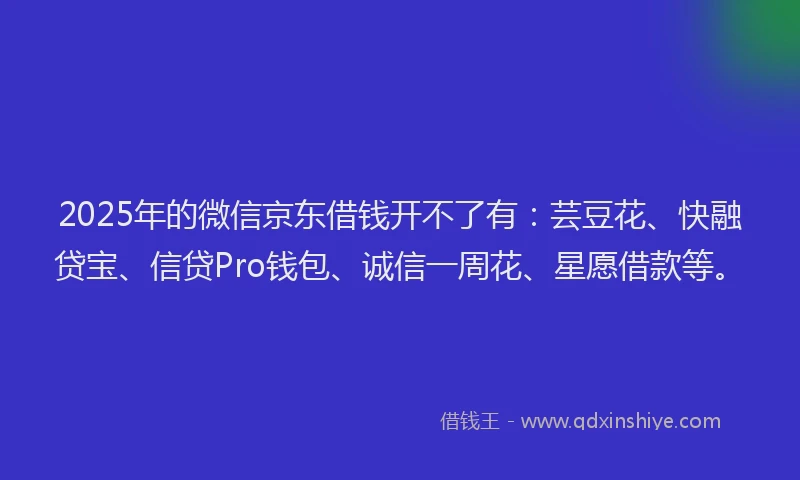 2025年的微信京东借钱开不了有：芸豆花、快融贷宝、信贷Pro钱包、诚信一周花、星愿借款等。