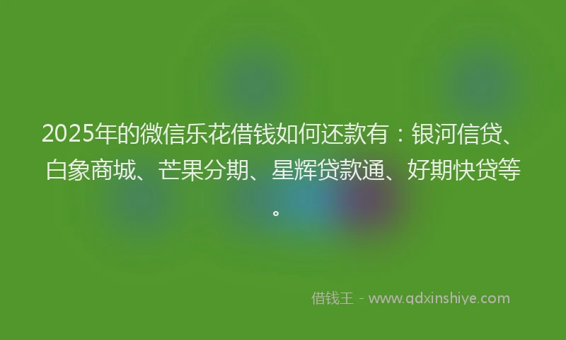 2025年的微信乐花借钱如何还款有：银河信贷、白象商城、芒果分期、星辉贷款通、好期快贷等。