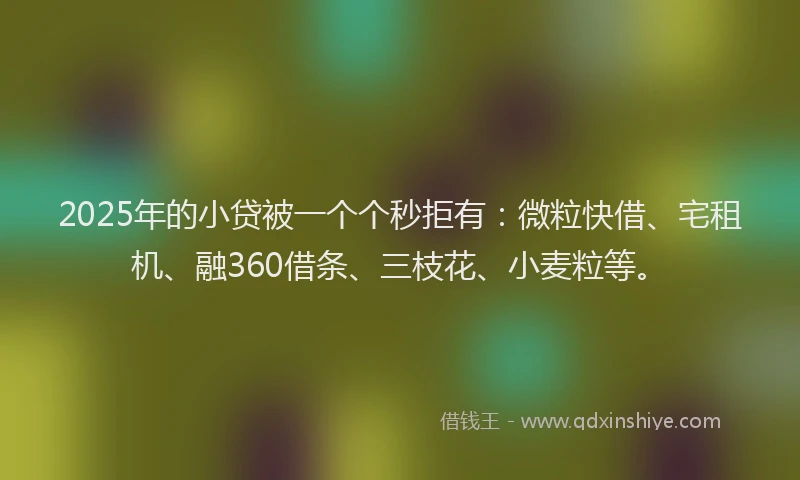 2025年的小贷被一个个秒拒有：微粒快借、宅租机、融360借条、三枝花、小麦粒等。