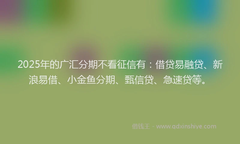 2025年的广汇分期不看征信有：借贷易融贷、新浪易借、小金鱼分期、甄信贷、急速贷等。