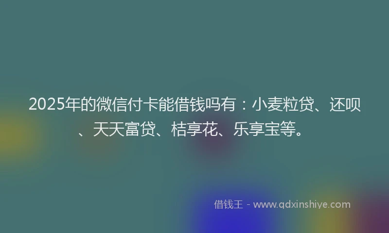 2025年的微信付卡能借钱吗有：小麦粒贷、还呗、天天富贷、桔享花、乐享宝等。