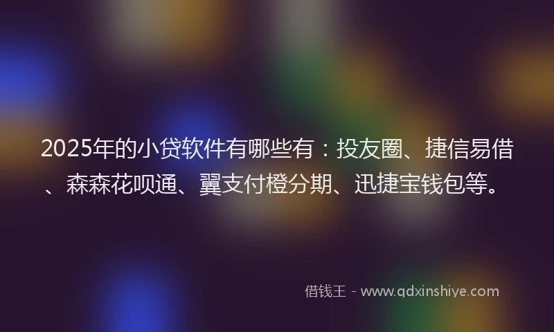 2025年的小贷软件有哪些有：投友圈、捷信易借、森森花呗通、翼支付橙分期、迅捷宝钱包等。