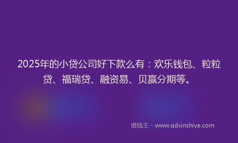 2025年的小贷公司好下款么有：欢乐钱包、粒粒贷、福瑞贷、融资易、贝赢分期等。