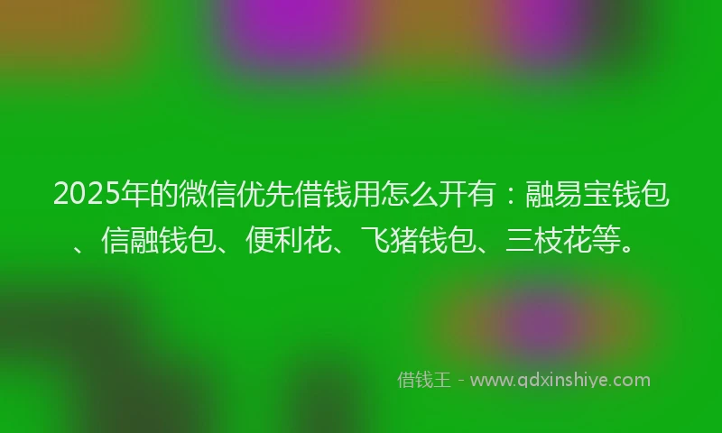 2025年的微信优先借钱用怎么开有：融易宝钱包、信融钱包、便利花、飞猪钱包、三枝花等。