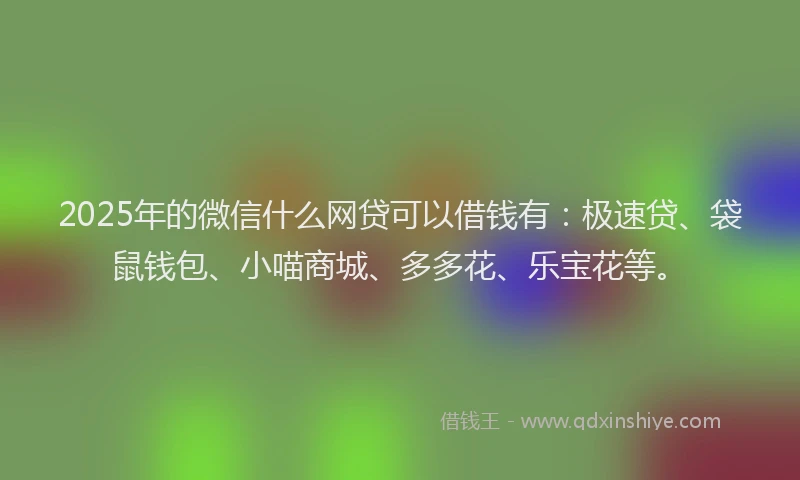 2025年的微信什么网贷可以借钱有：极速贷、袋鼠钱包、小喵商城、多多花、乐宝花等。