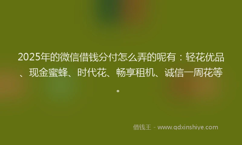 2025年的微信借钱分付怎么弄的呢有：轻花优品、现金蜜蜂、时代花、畅享租机、诚信一周花等。