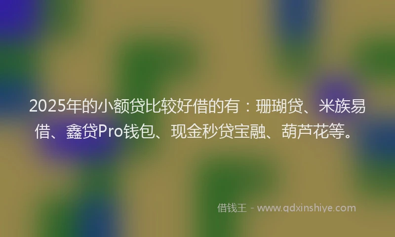 2025年的小额贷比较好借的有：珊瑚贷、米族易借、鑫贷Pro钱包、现金秒贷宝融、葫芦花等。