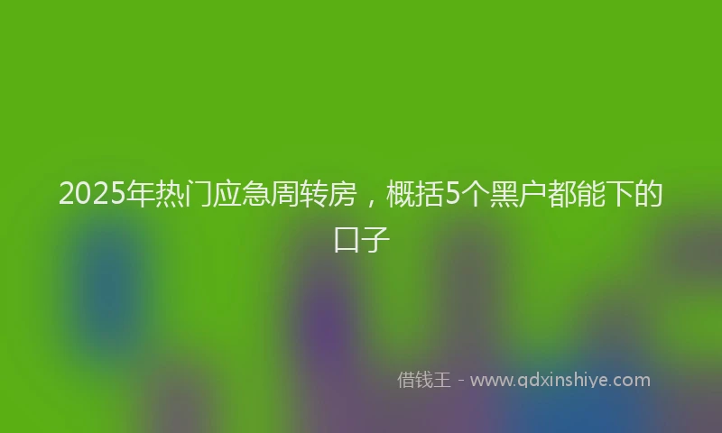 2025年热门应急周转房，概括5个黑户都能下的口子