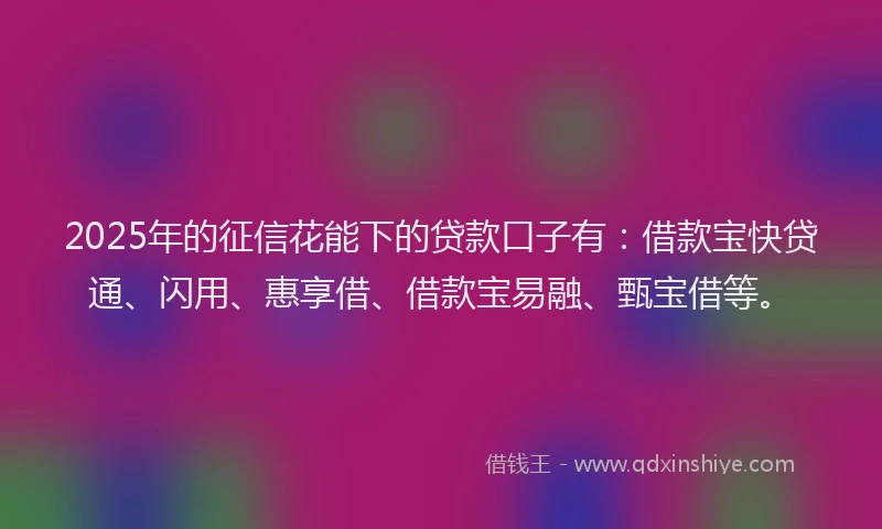 2025年的征信花能下的贷款口子有：借款宝快贷通、闪用、惠享借、借款宝易融、甄宝借等。