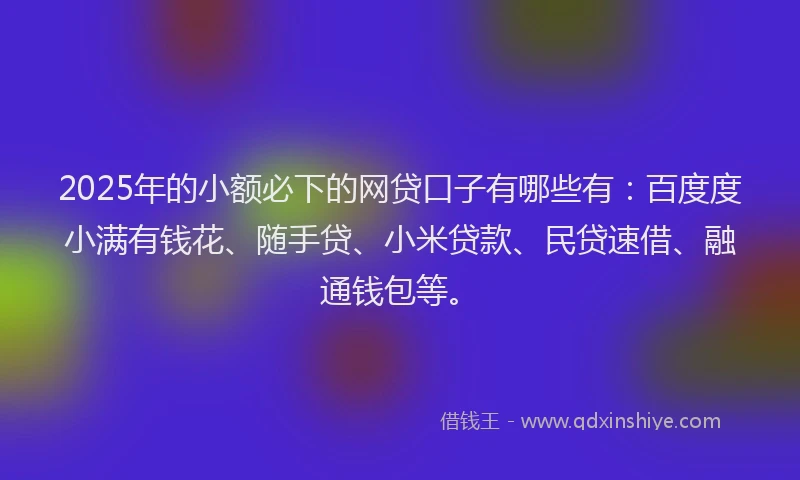 2025年的小额必下的网贷口子有哪些有：百度度小满有钱花、随手贷、小米贷款、民贷速借、融通钱包等。