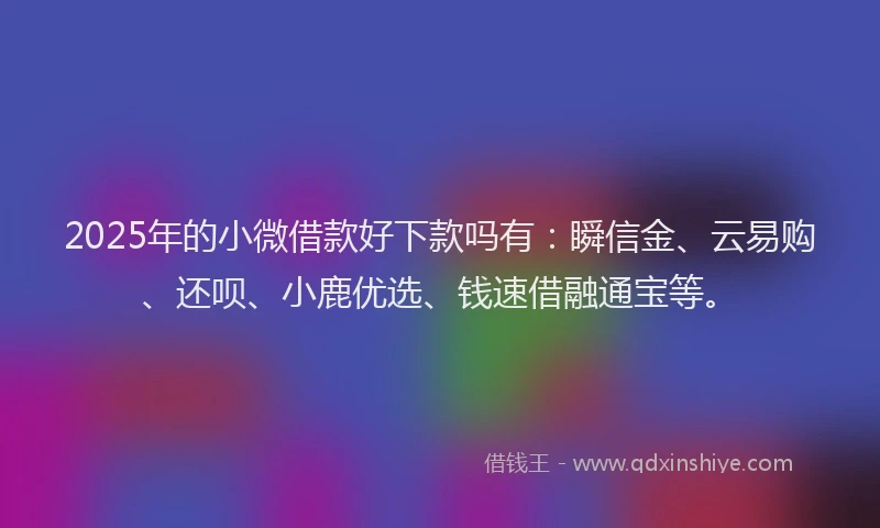 2025年的小微借款好下款吗有：瞬信金、云易购、还呗、小鹿优选、钱速借融通宝等。