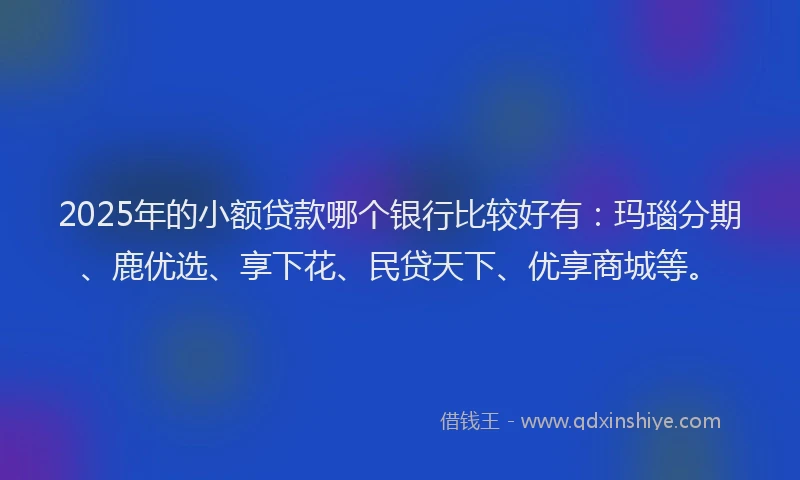 2025年的小额贷款哪个银行比较好有：玛瑙分期、鹿优选、享下花、民贷天下、优享商城等。