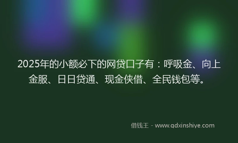 2025年的小额必下的网贷口子有：呼吸金、向上金服、日日贷通、现金侠借、全民钱包等。