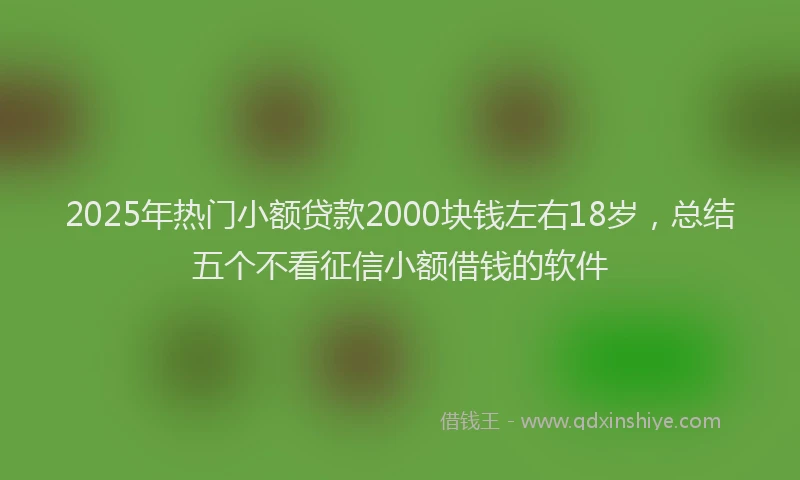 2025年热门小额贷款2000块钱左右18岁，总结五个不看征信小额借钱的软件