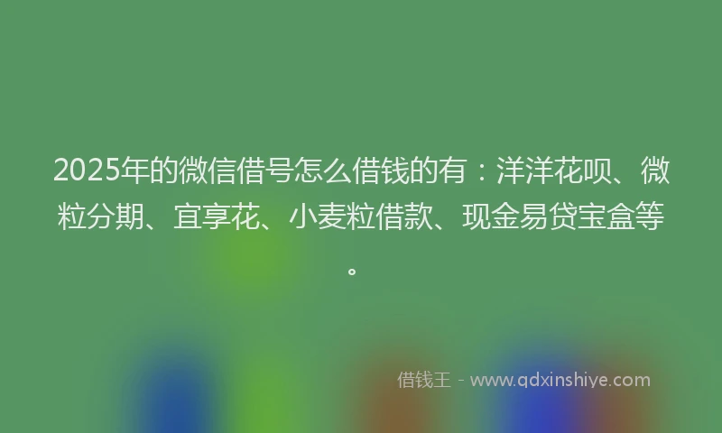 2025年的微信借号怎么借钱的有：洋洋花呗、微粒分期、宜享花、小麦粒借款、现金易贷宝盒等。