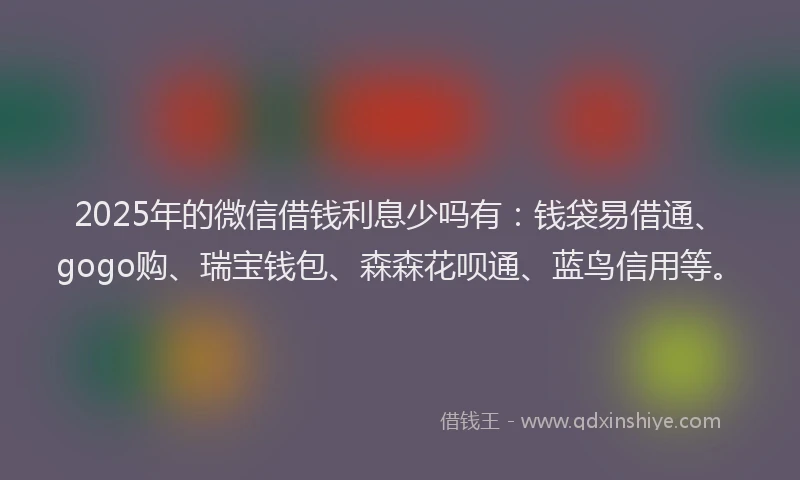 2025年的微信借钱利息少吗有：钱袋易借通、gogo购、瑞宝钱包、森森花呗通、蓝鸟信用等。