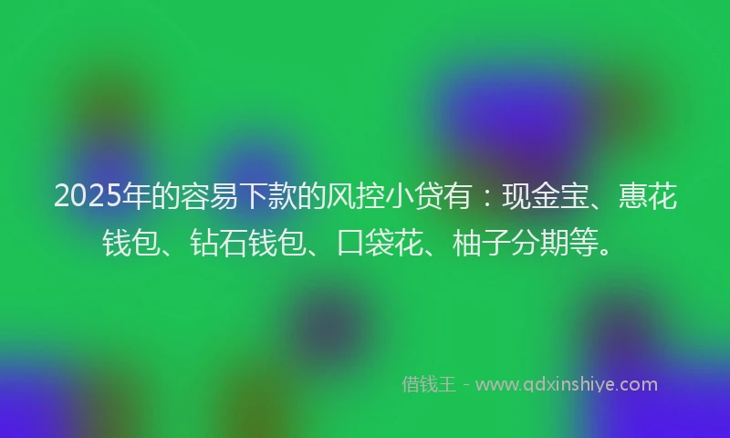2025年的容易下款的风控小贷有：现金宝、惠花钱包、钻石钱包、口袋花、柚子分期等。