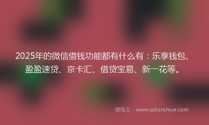 2025年的微信借钱功能都有什么有：乐享钱包、盈盈速贷、京卡汇、借贷宝易、新一花等。