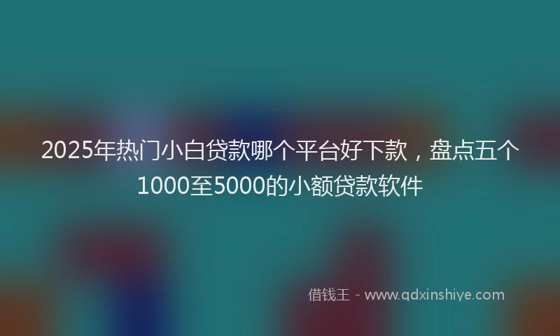 2025年热门小白贷款哪个平台好下款，盘点五个1000至5000的小额贷款软件