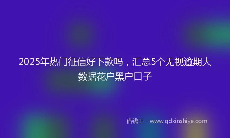 2025年热门征信好下款吗，汇总5个无视逾期大数据花户黑户口子