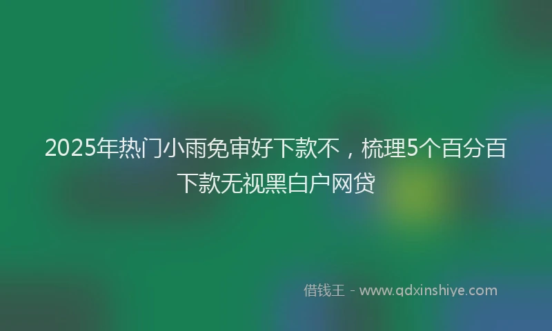 2025年热门小雨免审好下款不，梳理5个百分百下款无视黑白户网贷
