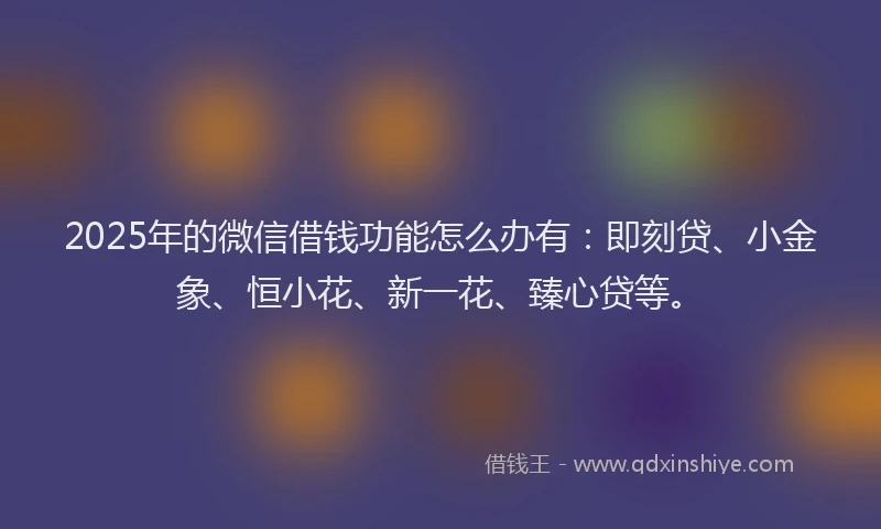 2025年的微信借钱功能怎么办有：即刻贷、小金象、恒小花、新一花、臻心贷等。