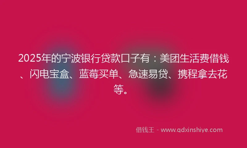 2025年的宁波银行贷款口子有：美团生活费借钱、闪电宝盒、蓝莓买单、急速易贷、携程拿去花等。